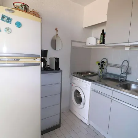 Appartement Climatise, Animaux Ok - 4 Pers. - Fr-1-307-302