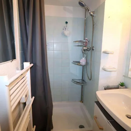 Appartement Climatise, Animaux Ok - 4 Pers. - Fr-1-307-302 *